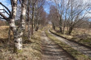 Dalmally to Inverarnan Drove Road