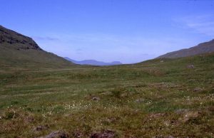 NN244238: the bealach between Beinn a Chleibh + Meall nan Tighearn. This saddle helps create a wonderful walk between Glen Orchy and Glen Falloch. Ben Cruachan pokes up on the horizon. © Chris Heaton, Geograph