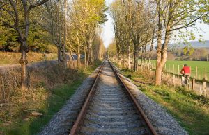 On the left is the main North Deeside Road. In the middle is the track relaid by the Royal Deeside Railway Preservation Society. On the right is the path established to replace the one which once followed the formerly disused railway line. © Nigel Corby, Geograph