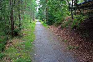 NO521986 looking east along the Old Deeside Line at Aboyne. The railway continued west from Banchory to Ballater; it can be seen from this photo that at least parts of it are still accessible (2009). © Alan Findlay, Geograph