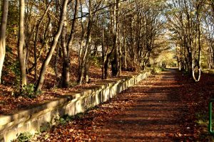 NJ923040: former Ruthrieston station on the Old Deeside Line (2005). © Peter Ward, Geograph