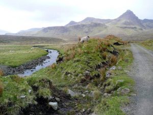 NG488597: looking south-west along the track by the Lealt River. The sharp peak is Sgurr a'Mhadaidh Ruaidh. © Gordon Brown, Geograph