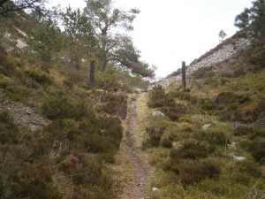 NJ061149: approaching Eag Mhor from the west. A good track from Loch a' Chnuic continues west through the forest between the two posts (middleground) to exit into the rocks & scree cleft of Eag Mhor where it continues into the Braes of Abernethy. © David Godfrey, Geograph