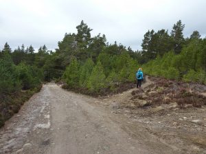 NJ031141: route goes right here and could be easily missed. © Colin Cadden, Colin Cadden