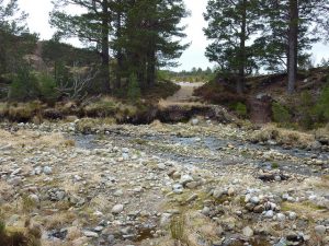 NJ052144: Faesheallach Burn and the forest road opposite. © Colin Cadden, Colin Cadden