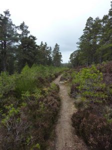 NJ028145: narrower track. © Colin Cadden, Colin Cadden