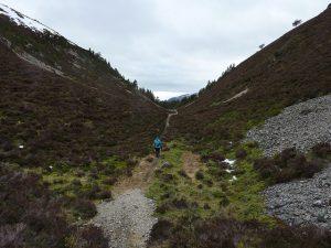 Dorback Drove Roads