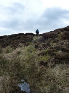 NJ069164: footpath from Dorback Burn. © Colin Cadden, Colin Cadden