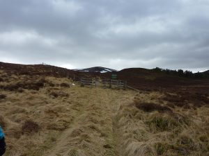 NJ069163: gate into Dorback Estate. © Colin Cadden, Colin Cadden