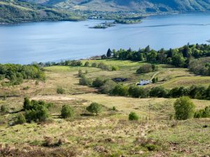 NN098611 looking SSW down the grassy lower southwest slopes of Mam na Gualainn with scattered trees, descending towards Loch Leven (2016). © Trevor Littlewood, Geograph