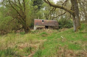 Drove Road to Callert Ferry