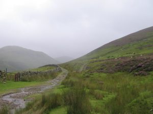 NS 895 038: The Well Path, looking north-east. © derek menzies, Geograph