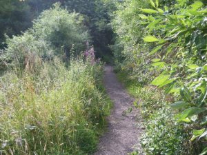 View along the Earnock Miners' Path. © Paul Hannon, Paul Hannon (ScW member)