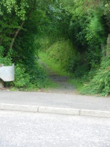 Crossing at Durisdeer Drive. © Paul Hannon, Paul Hannon (ScW member)