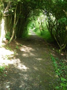 Earnock Miners’ Path