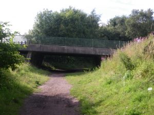Path under Sherry Drive. © Paul Hannon, Paul Hannon (ScW member)