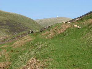 NS876071: looking NNE along the path to the Enterkin Pass. The golf-ball radar installation on top of Lowther Hill is visible in the background (2007). © Eileen Henderson, Geograph