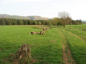 NS873049: this section of the footpath running from the Enterkin Pass follows the line of an old hedge. Only the stumps now remain. This view looks SSE, with the hills south of Durisdeer in the background (2007). © Eileen Henderson, Geograph