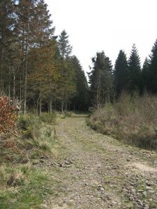 Fala Mains Wood.  , © Richard Webb, Geograph