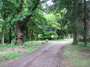 NS712946 looking east. A back drive to Gargunnock House today, this was once the main road between Stirling and Dumbarton before the road was realigned. © Richard Webb, Geograph