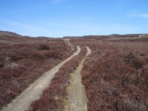NN903414 looking NNW along the track which follows the line of General Wade's Military Road through Glen Cochill (2006). © Lis Burke, Geograph