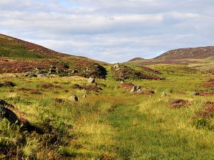 NN889318 looking NNE along this faint track which is all that remains of this section of General Wade's Military Road (2010), © Dr Richard Murray, Geograph
