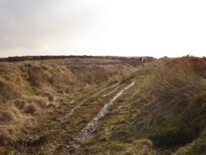NN897358 looking SSW along General Wade's Military Road near Amulree (2007). © Sylvia Barrow, Geograph