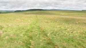 NT486461 looking NNW along the Girthgate. Still traceable over the hills west of Lauderdale, the Girthgate is an old roadway from Melrose Abbey to Soutra Aisle and probably beyond. © Richard Webb, Geograph
