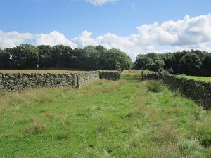 NT507423: looking southeast along the Girthgate. A ridge separates Stow and Lauder, this old road runs along it © Richard Webb, Geograph