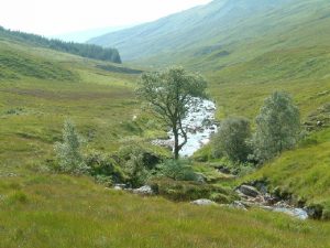 NN 187 928:  south along the Abhainn Chia-aig as it flows through Glen Cia-aig. The footpath marked by the OS follows the left-hand bank (can just be seen on the left of the tree) and goes into the forest. © Anthony Cox, Geograph