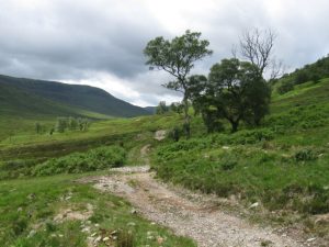 Track near Brian Choille. © Phillip Williams, Geograph