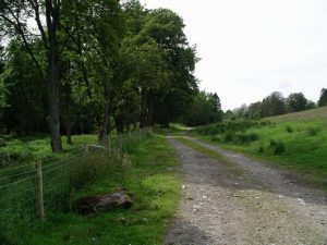 The path running north from near Cluny Castle. © Chris Eilbeck, Geograph
