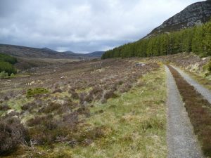 Glen Calvie Lodge to Braeantra Track
