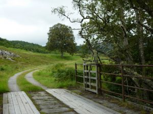 NH465876: crossing the Water of Glencalvie. © sylvia duckworth, Geograph