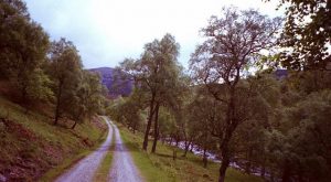 NH4687: looking up this well-wooded glen towards to Carn Cuinneag. Glen Calvie was the former home of the folk who signed the kirk windows at Croick. © Richard Webb, Geograph