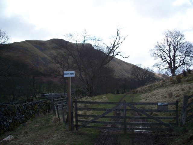 Glen Eagles Drove Road
