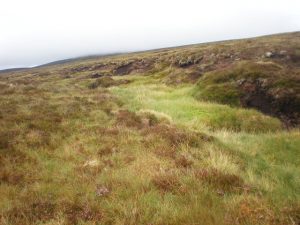 NH561028: grouse moor near Chalybeate Spring and Caochan Uchdach. © Sarah McGuire, Geograph