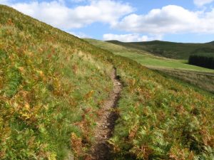 Gypsy Road leading up into the Cheviots. © Nate Pedersen, Nate Pedersen (Volunteer)