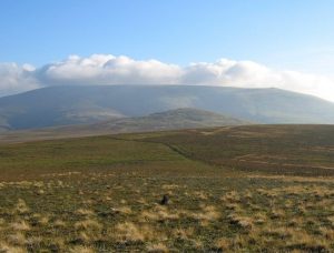 Gypsy Road to The Cheviot