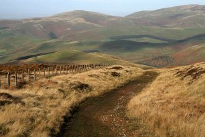 NT870161 Looking NNW down the old droveway, Clennell Street, a short distance from the Pennine Way. © Walter Baxter, Geograph