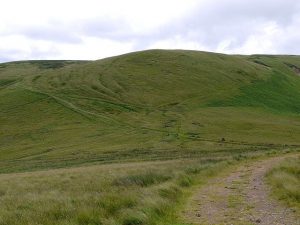 Hexpethgate (Clennell Street)