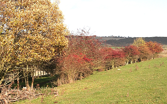 Kilmany Railway Line