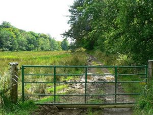 Looking south from near Carnassarie Castle. © RichTea, Geograph