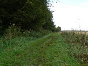 Track along north side of Rameldry Wood. © James Allan, Geograph
