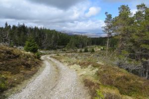 NN595530 Rannoch Forest, looking north along the Lairig Ghallabhaich road (2015). The descent towards Loch Rannoch. © Richard Webb, Geograph
