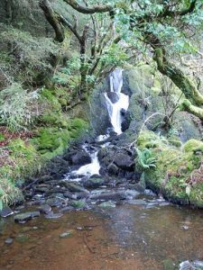 Waterfall in the woods. © Patrick Mackie , Geograph