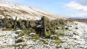 NS708803: dyke corner under Little Hill. The path shown here on all but the latest maps does not exist although there is a gate on its course allowing the dyke to be crossed. © Richard Webb, Geograph