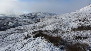NS705805: slopes of Garrel Hill. Older maps show a path here, it's not there now (January 2012). © Richard Webb, Geograph