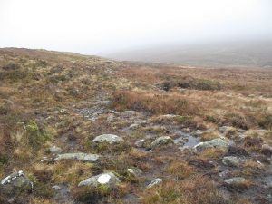 NN553400: erosion by cattle once driven through the Lairig Breisleich can still be seen. Lines of exposed boulders amongst peaty glens are a common sight, and a sign of once frequent use. Few pass this way now. © Richard Webb, Geograph