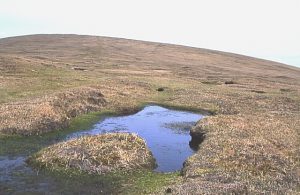 Sothers Brecks - A boggy pool by the path up to Hermaness Hill. © Anne Burgess , Geograph